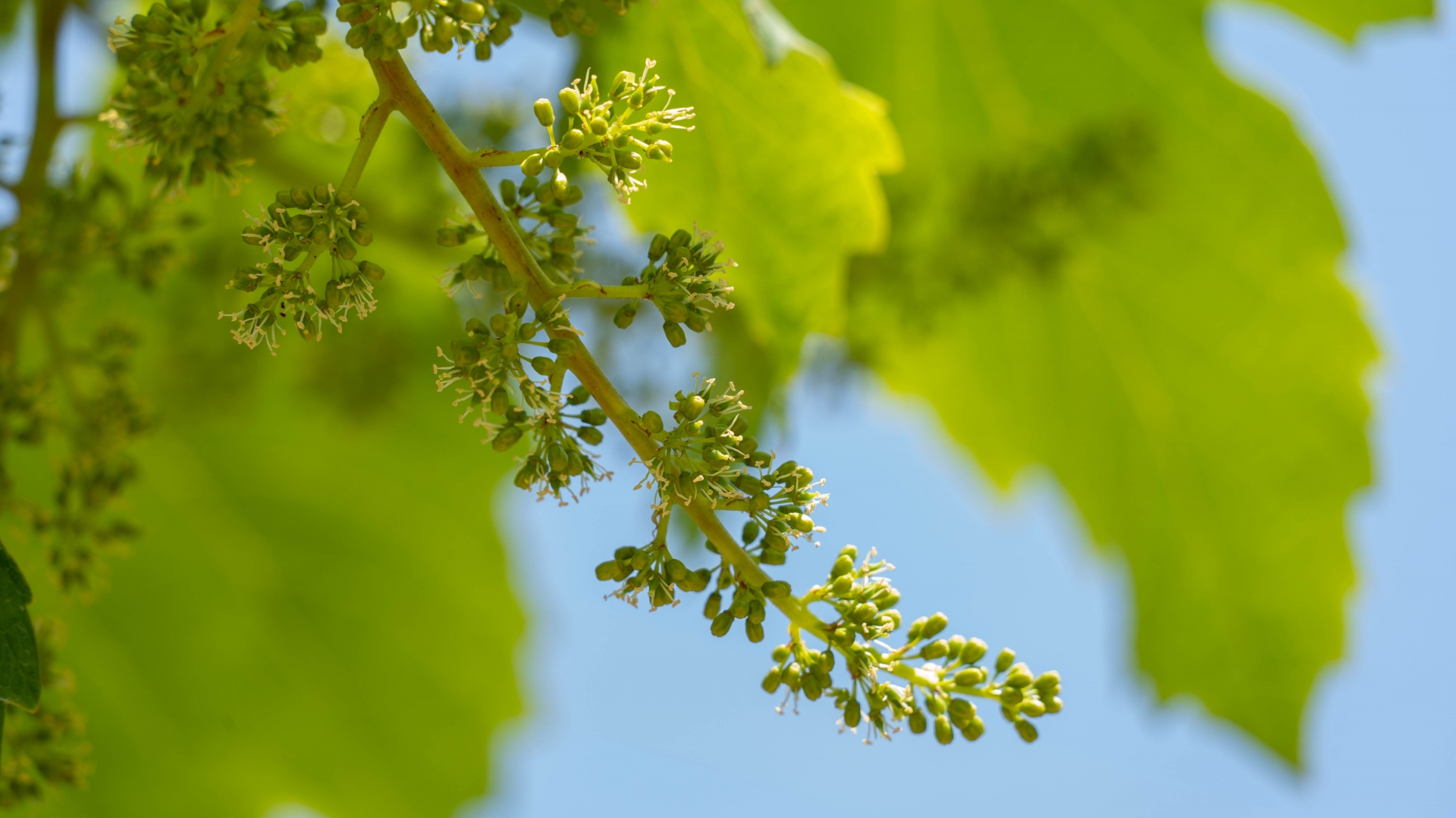 事業内容 下部コンテンツ 画像